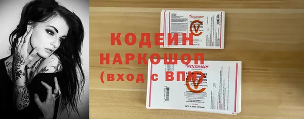 индика Корсаков