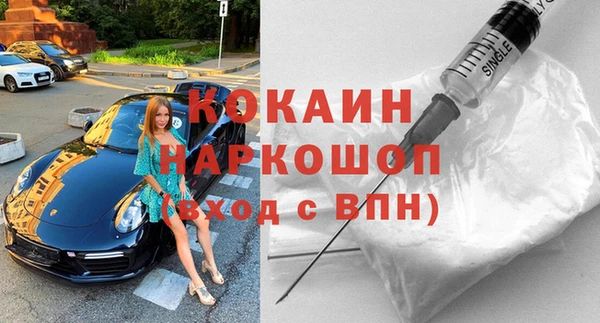стаф Козловка
