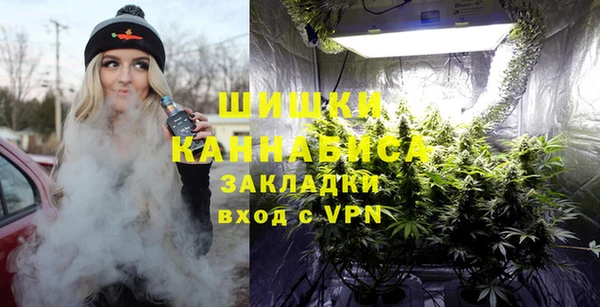 стаф Козловка