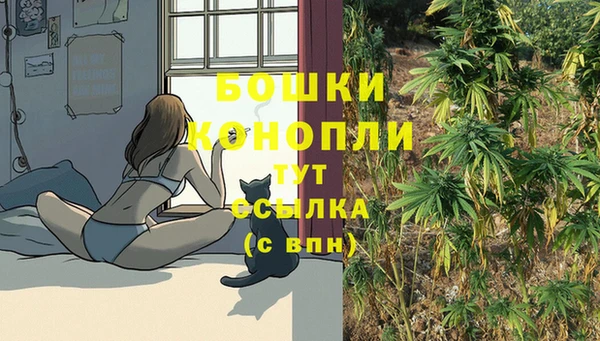 Альфа ПВП Козельск