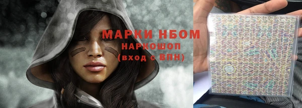 стаф Козловка