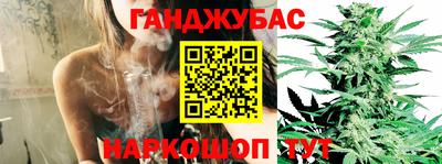 ECSTASY Гай