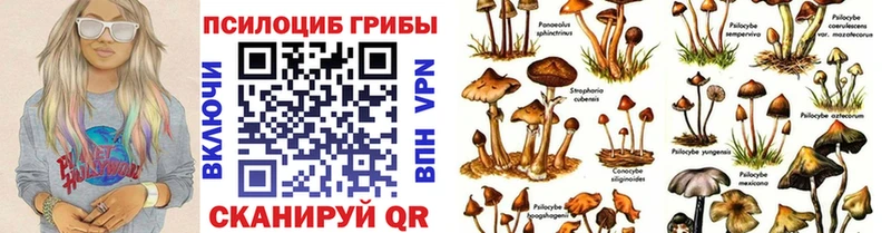 Псилоцибиновые грибы мухоморы  Сыктывкар 